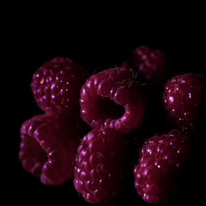 Dark Black Raspberries in the dark with black background Wax Scent