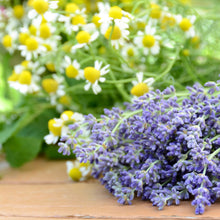 Load image into Gallery viewer, Lavender and Chamomile Bundles on Table Wax Scent
