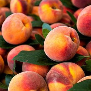 fresh picked Georgia peaches wax scent