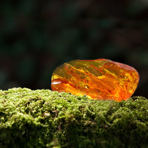 amber rock on a green mossy surface