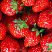 Load image into Gallery viewer, Bright and juicy fresh picked strawberries
